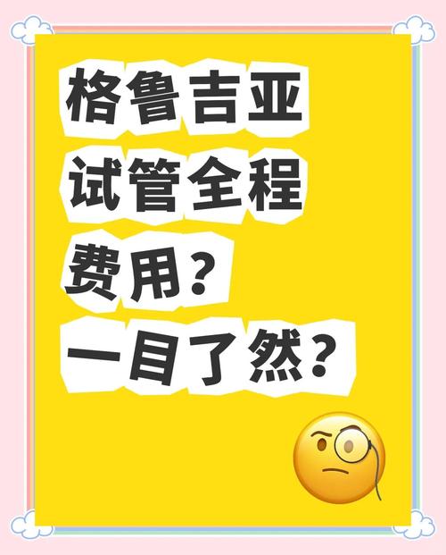 格鲁吉亚试管多少钱_格鲁吉亚试管婴儿包成功_格鲁吉亚试管婴儿2026最新价格