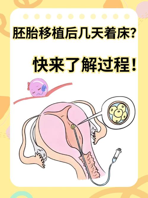 试管移植_移植试管成功的前兆_子宫多大可以移植试管