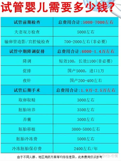 试管的费用大概多少钱_试管费钱吗_试管每项费用