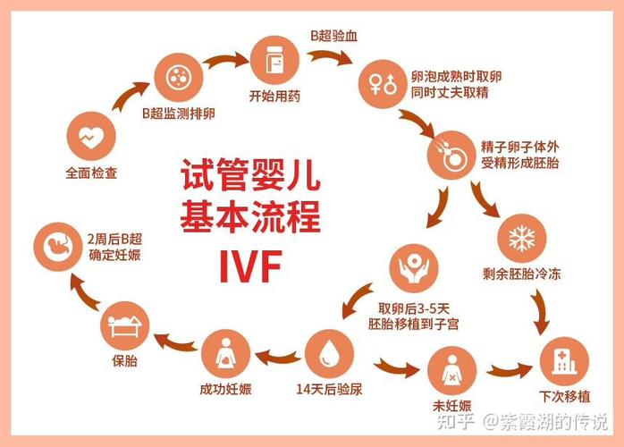 试管婴儿钱_试管婴儿大概多少钱_试管嘤儿得需要多少钱