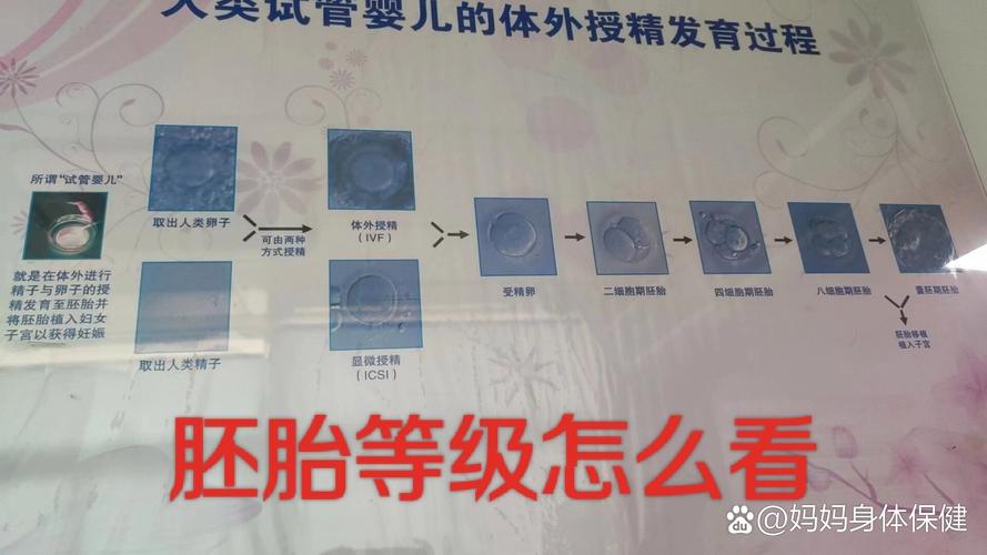 试管婴儿医院_婴儿试管医院哪家好_婴儿试管医院排名