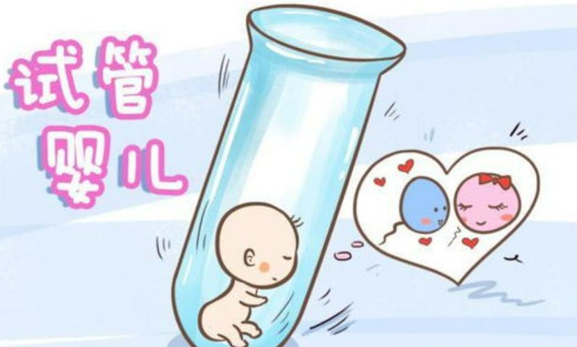 试管婴儿男孩女孩哪个几率大_试管男孩儿多还是女孩儿多_通过试管婴儿选择男孩女孩