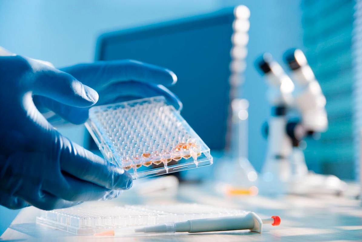 格鲁吉亚试管多少钱_格鲁吉亚试管包成功_格鲁吉亚试管成功率