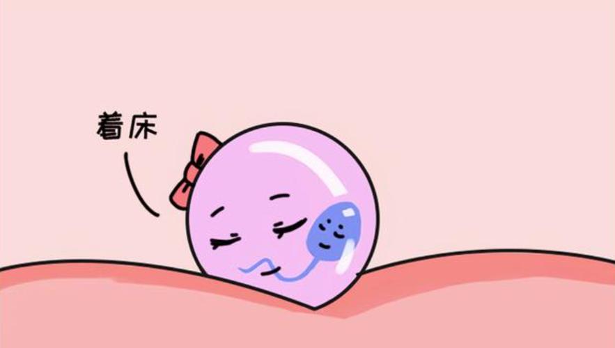 婴儿流程试管全部过程视频_试管婴儿的全部流程_婴儿流程试管全部取卵