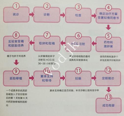 试管婴儿费用是包括怀孕_试管婴儿费过程_第三代试管婴儿费用表