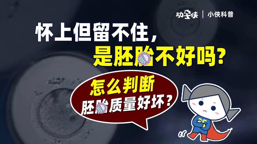 试管婴儿移植后煎熬的等待_试管婴儿移植后_试管婴儿移植以后