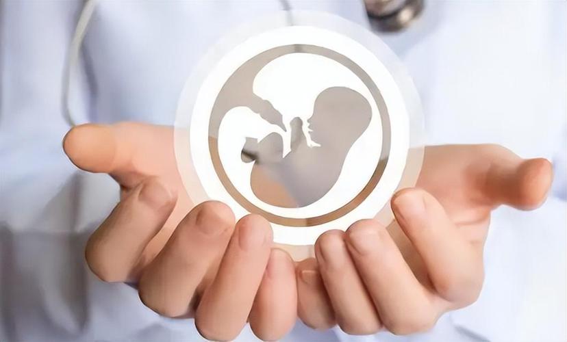 试管婴儿寿命不超过50_试管婴儿的寿命和正常人一样吗_试管儿的寿命