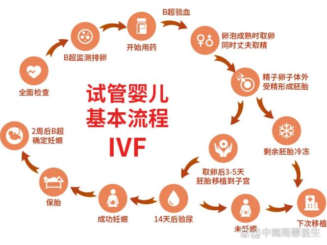 试管婴儿的全部流程_婴儿试管步骤_做婴儿试管怎么做