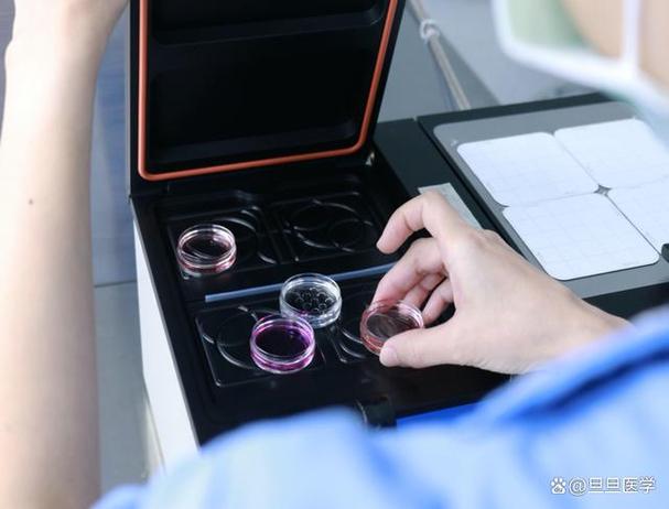 婴儿流程试管具体流程图_试管婴儿的具体流程_做婴儿试管怎么做