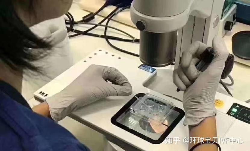 婴儿试管大约多少钱_婴儿试管是什么意思_试管婴儿