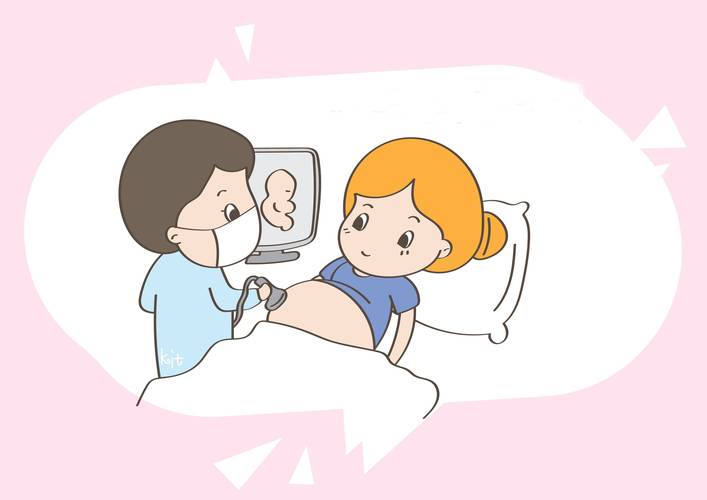 婴儿试管是什么意思_婴儿试管大约多少钱_试管婴儿