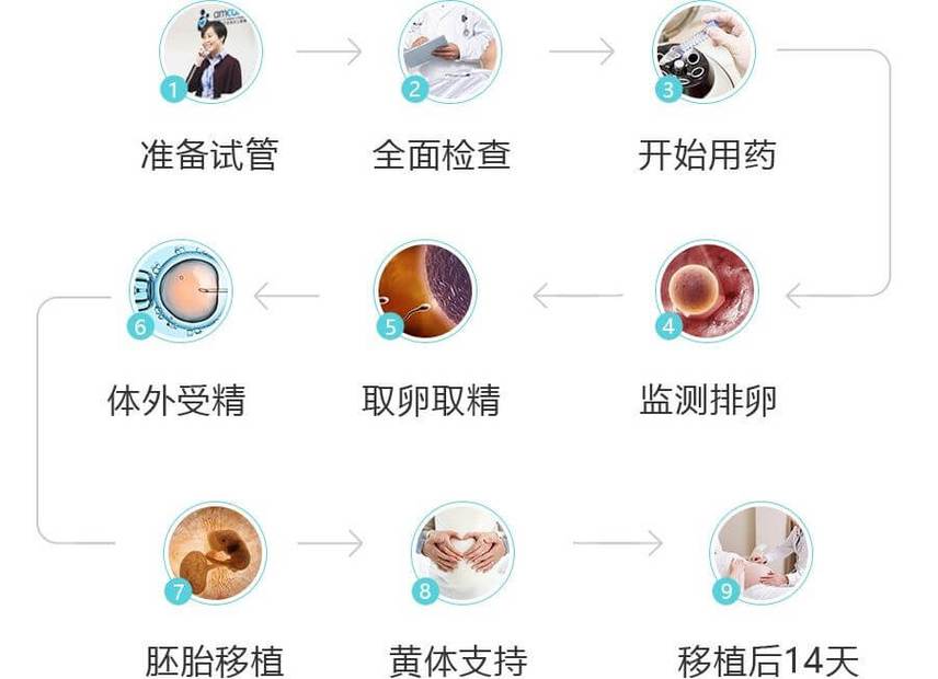 试管婴儿的步骤过程详细_婴儿步骤详细试管过程视频_婴儿步骤详细试管过程图